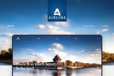 AIRLINE